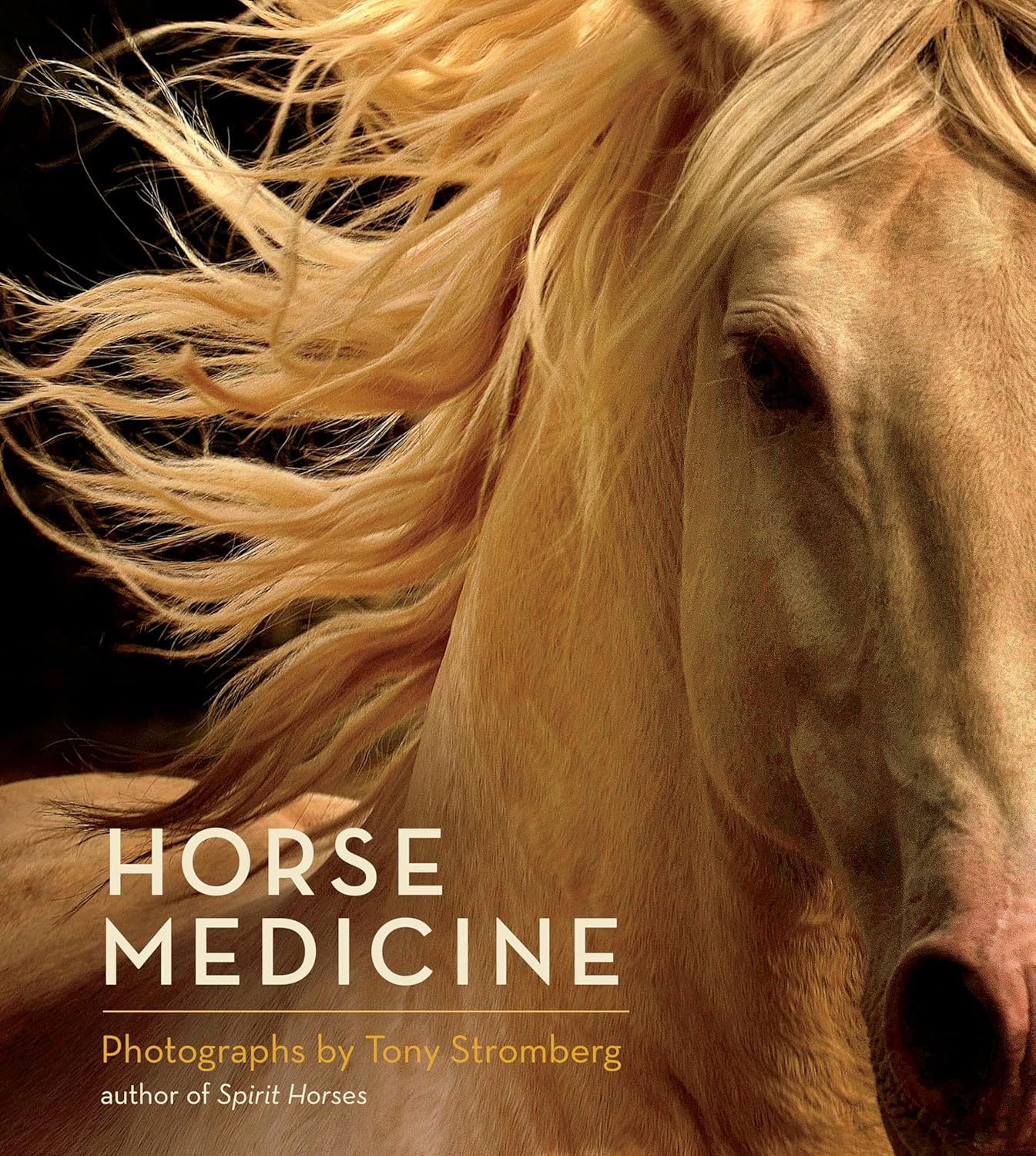 Horse Medicine By Tony Stromberg