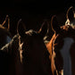 Gathering-Photographic Print-Tony Stromberg-Sorrel Sky Gallery