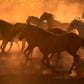 Thunder-Photographic Print-Tony Stromberg-Sorrel Sky Gallery