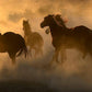 Blazing-Photography-Tony Stromberg-Sorrel Sky Gallery