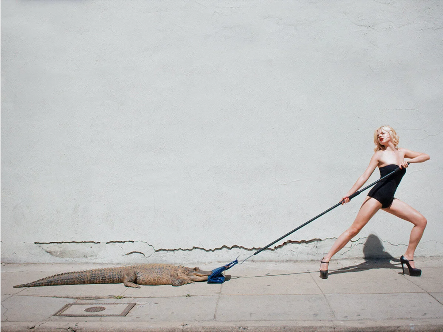 Birkin Tug of War-Photographic Print-Tyler Shields-Sorrel Sky Gallery