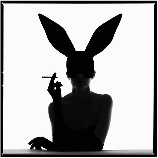 Bunny III Silhouette-Photographic Print-Tyler Shields-Sorrel Sky Gallery