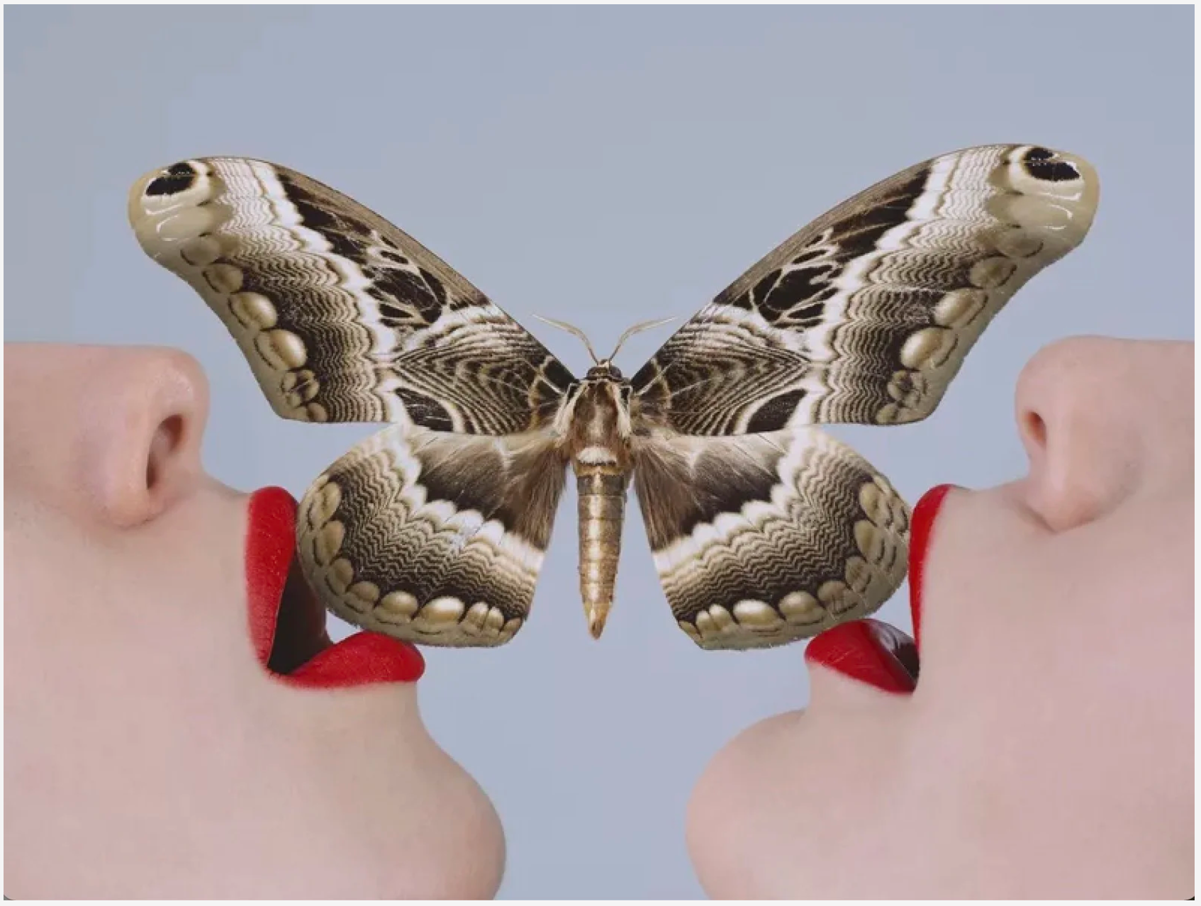 Butterfly-Photographic Print-Tyler Shields-Sorrel Sky Gallery