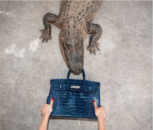 Gator Birkin Hands-Photographic Print-Tyler Shields-Sorrel Sky Gallery