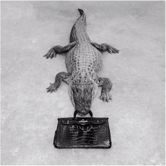 Gator Birkin Monochrome-Photographic Print-Tyler Shields-Sorrel Sky Gallery