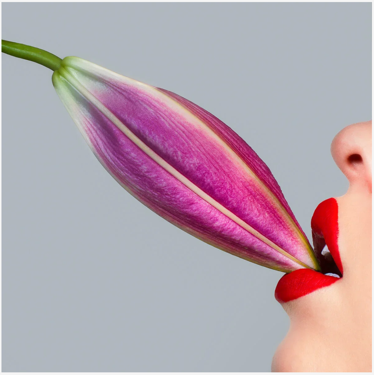 Lily-Photographic Print-Tyler Shields-Sorrel Sky Gallery