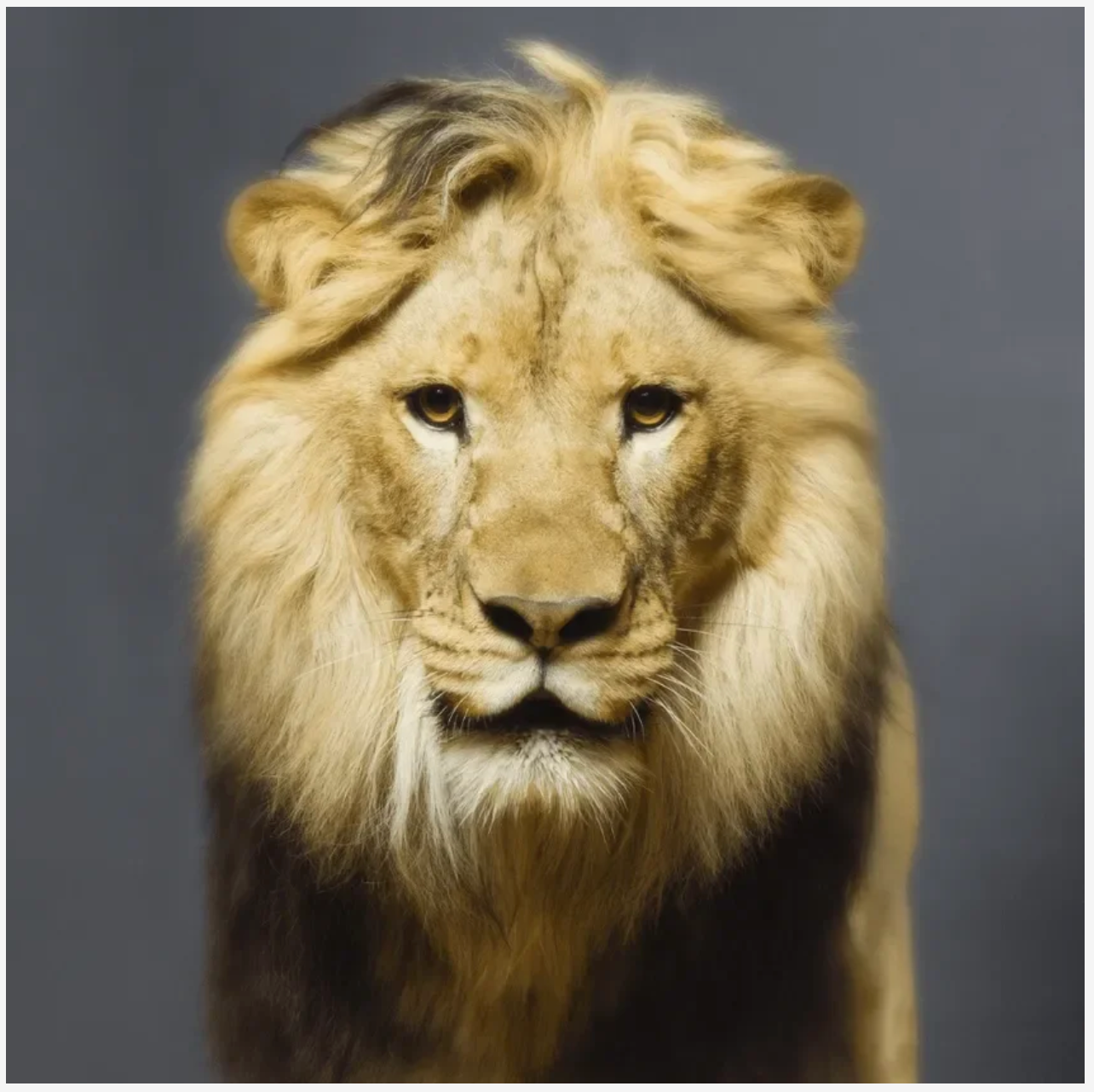 Luke-Photographic Print-Tyler Shields-Sorrel Sky Gallery