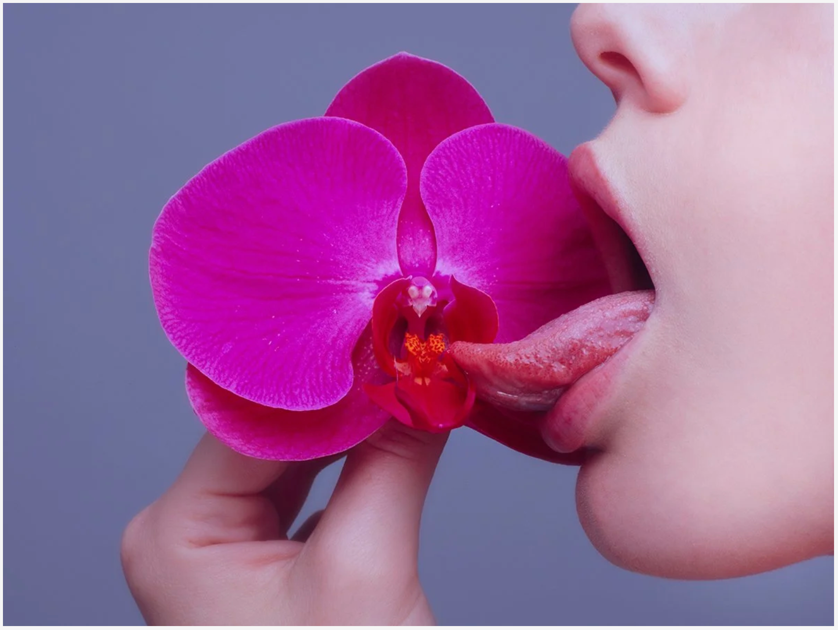 Orchid-Photographic Print-Tyler Shields-Sorrel Sky Gallery