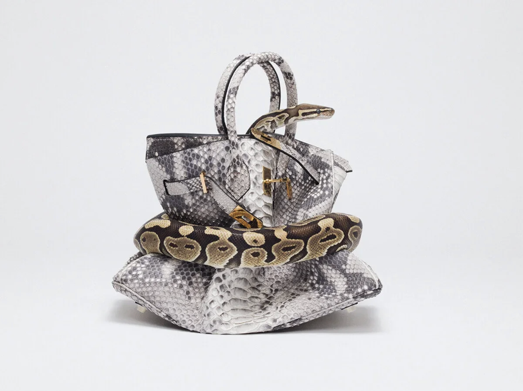 Python Birkin II-Photographic Print-Tyler Shields-Sorrel Sky Gallery