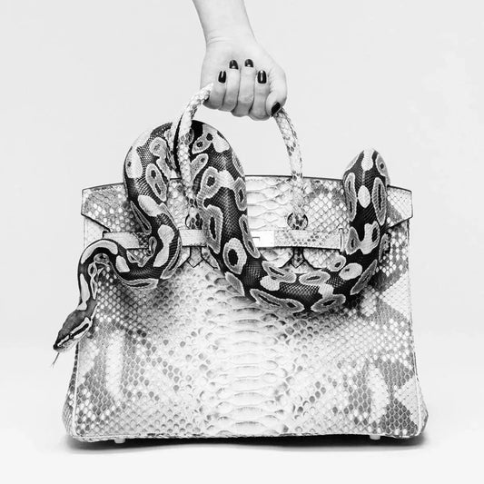 Python Birkin III-Photographic Print-Tyler Shields-Sorrel Sky Gallery