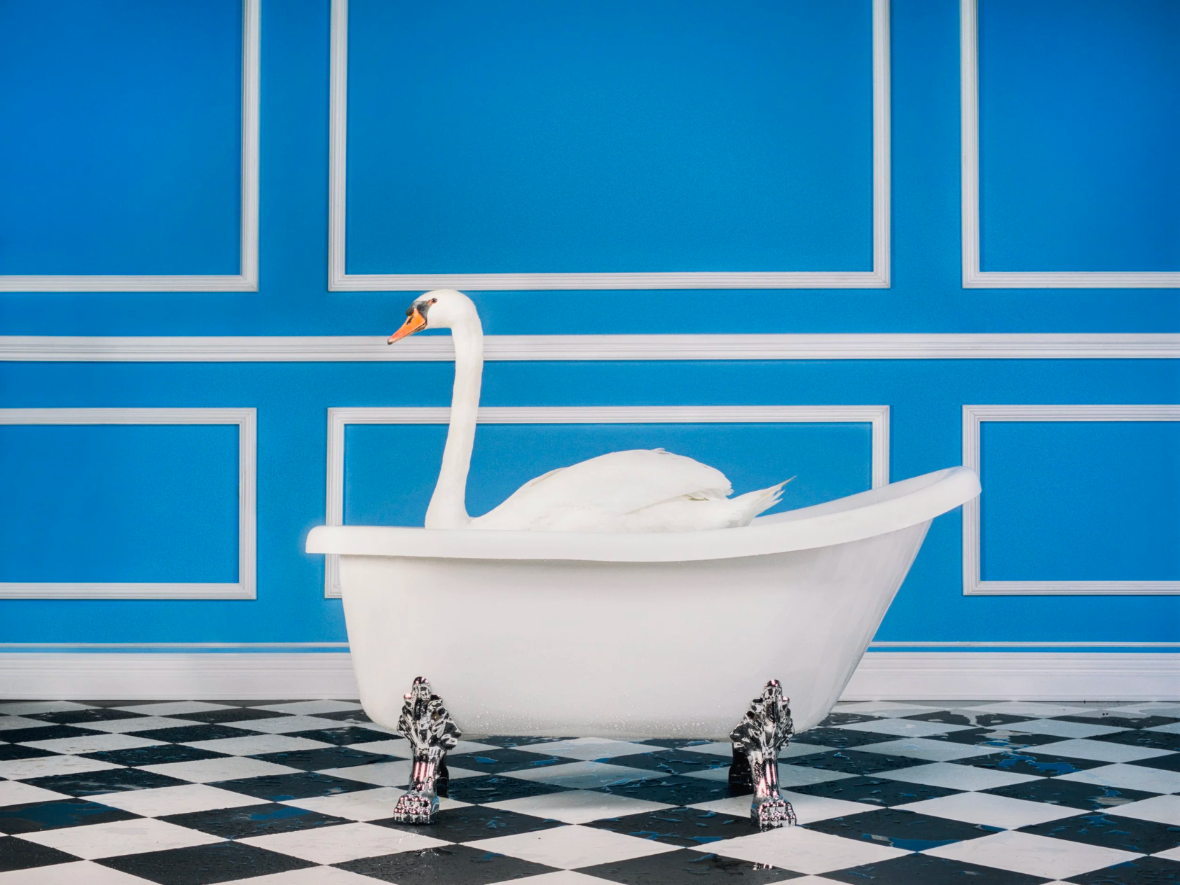 The Swan-Photographic Print-Tyler Shields-Sorrel Sky Gallery