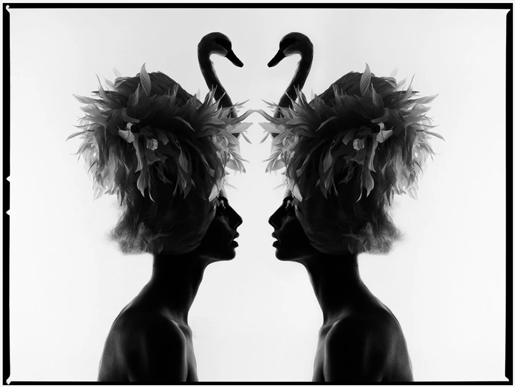 The Two Swans-Photographic Print-Tyler Shields-Sorrel Sky Gallery