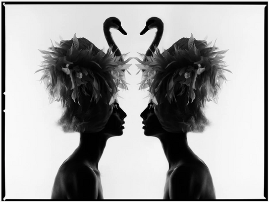 The Two Swans-Photographic Print-Tyler Shields-Sorrel Sky Gallery