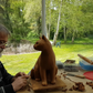 Cat's Tooth | La Dent du Chat