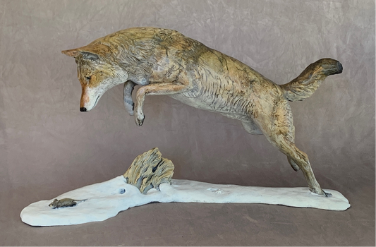 Coyote II – Pouncing