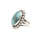 Carico Lake Turquoise Ring-Jewelry-Artie Yellowhorse-Sorrel Sky Gallery
