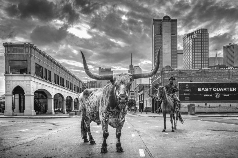 A Dallas Cowboy-Photographic Print-David Yarrow-Sorrel Sky Gallery