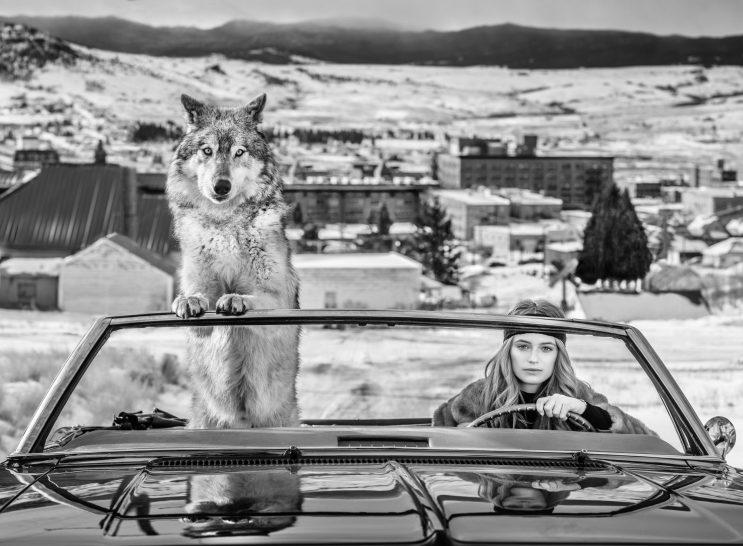 Bonnie and Clyde-Photographic Print-David Yarrow-Sorrel Sky Gallery
