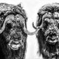 Hell's Kitchen-Photographic Print-David Yarrow-Sorrel Sky Gallery