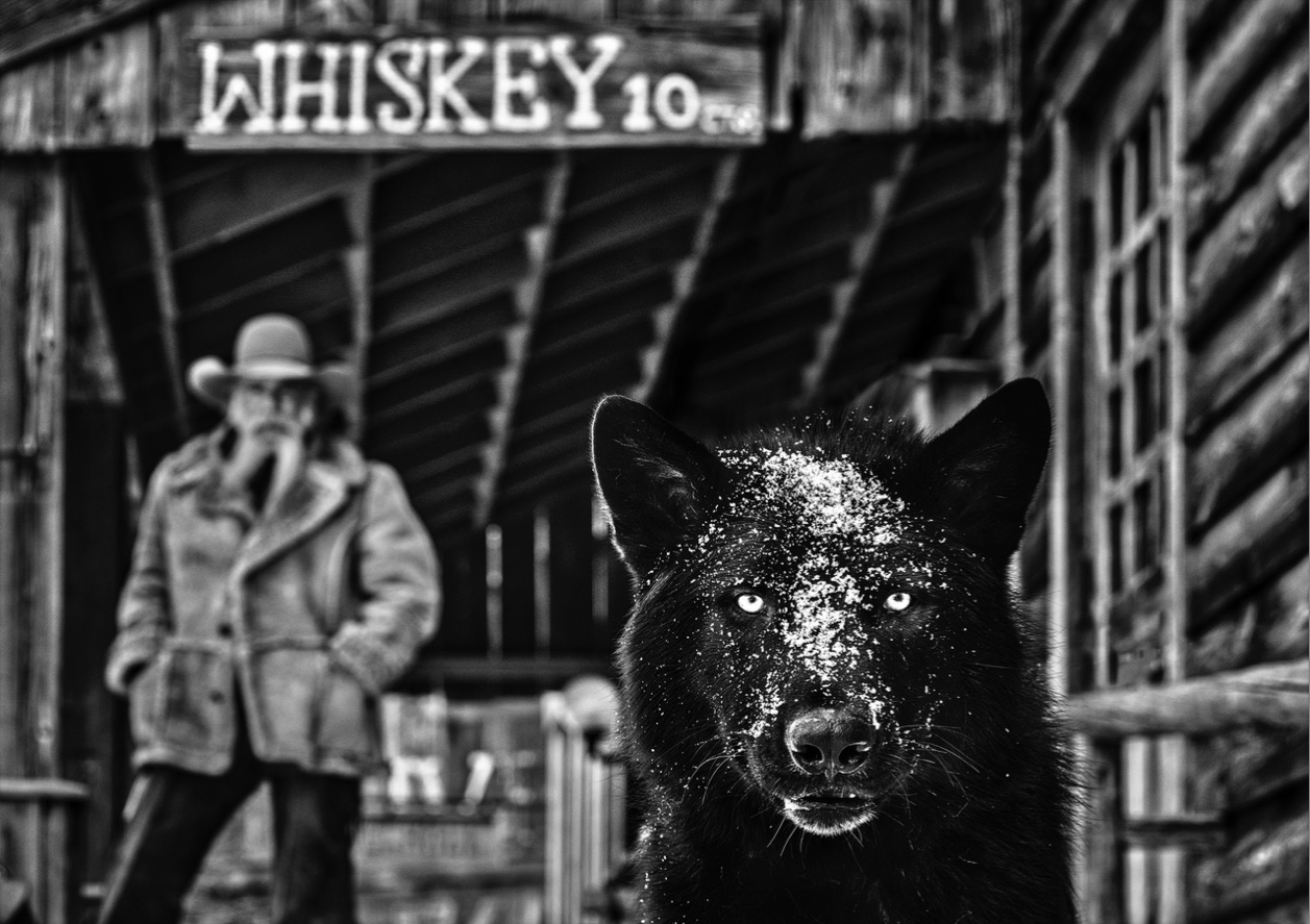 It Was The Whiskey Talking-Photographic Print-David Yarrow-Sorrel Sky Gallery