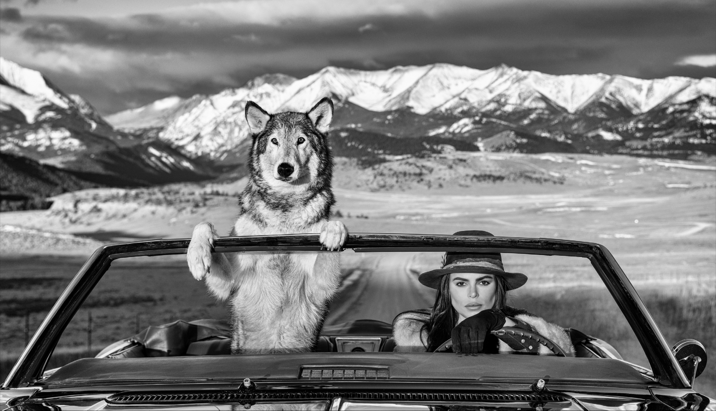 Montana-Photographic Print-David Yarrow-Sorrel Sky Gallery