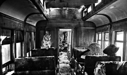 Ride The Ghost Train-Photographic Print-David Yarrow-Sorrel Sky Gallery
