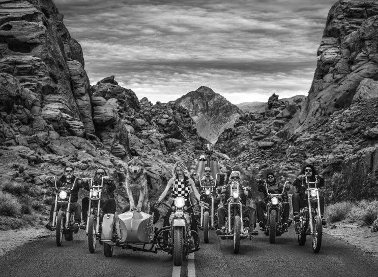 The Leader Of The Pack-Photographic Print-David Yarrow-Sorrel Sky Gallery