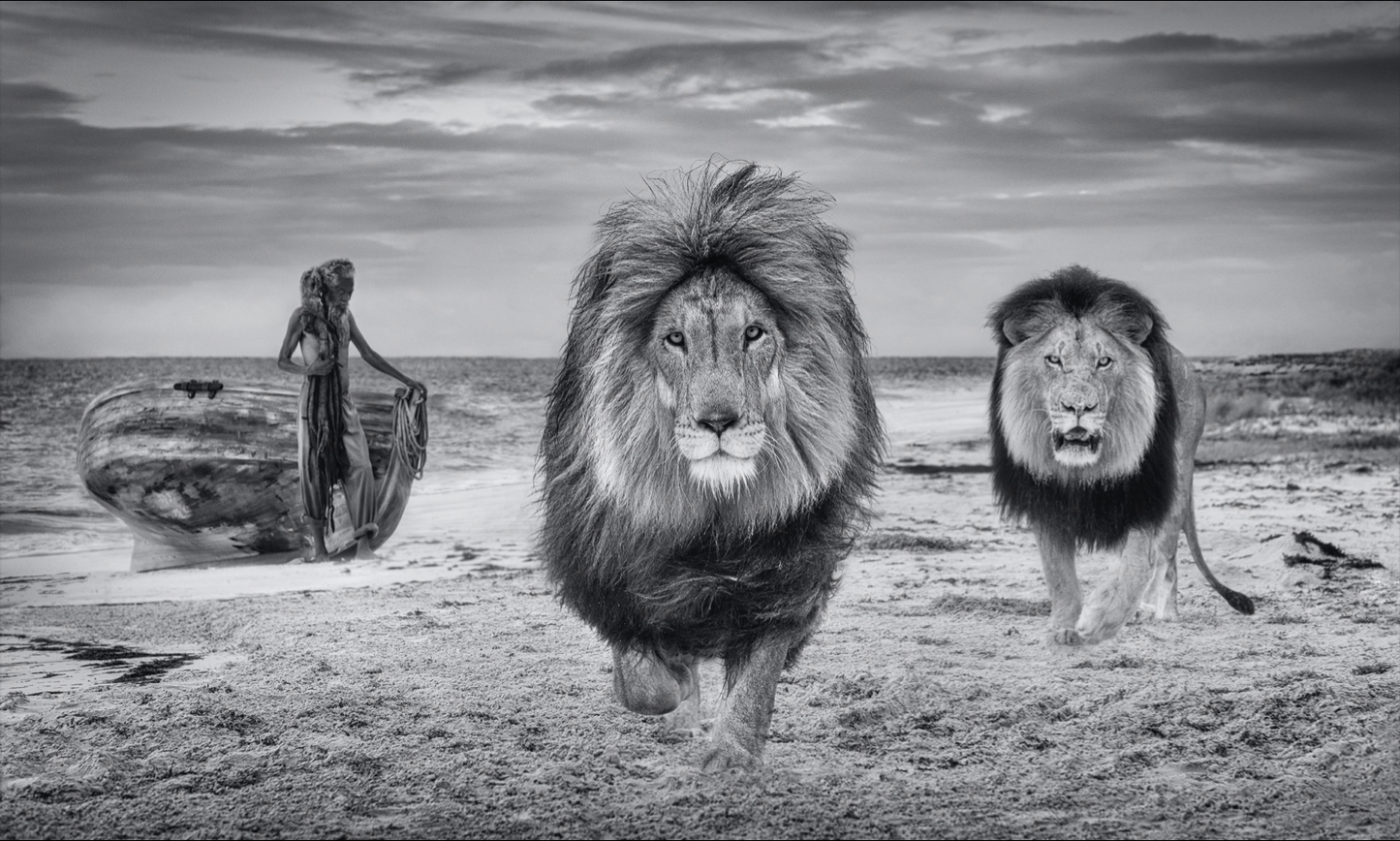 The Old Man and the Sea-Photographic Print-David Yarrow-Sorrel Sky Gallery