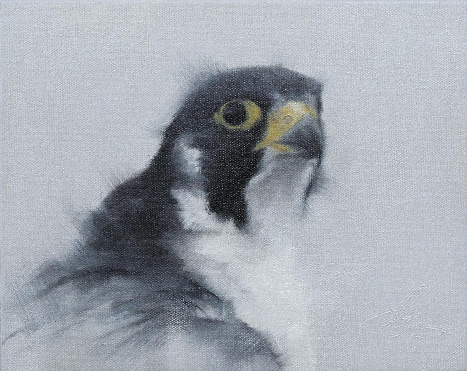 Falcon Study II-Painting-Doyle Hostetler-Sorrel Sky Gallery