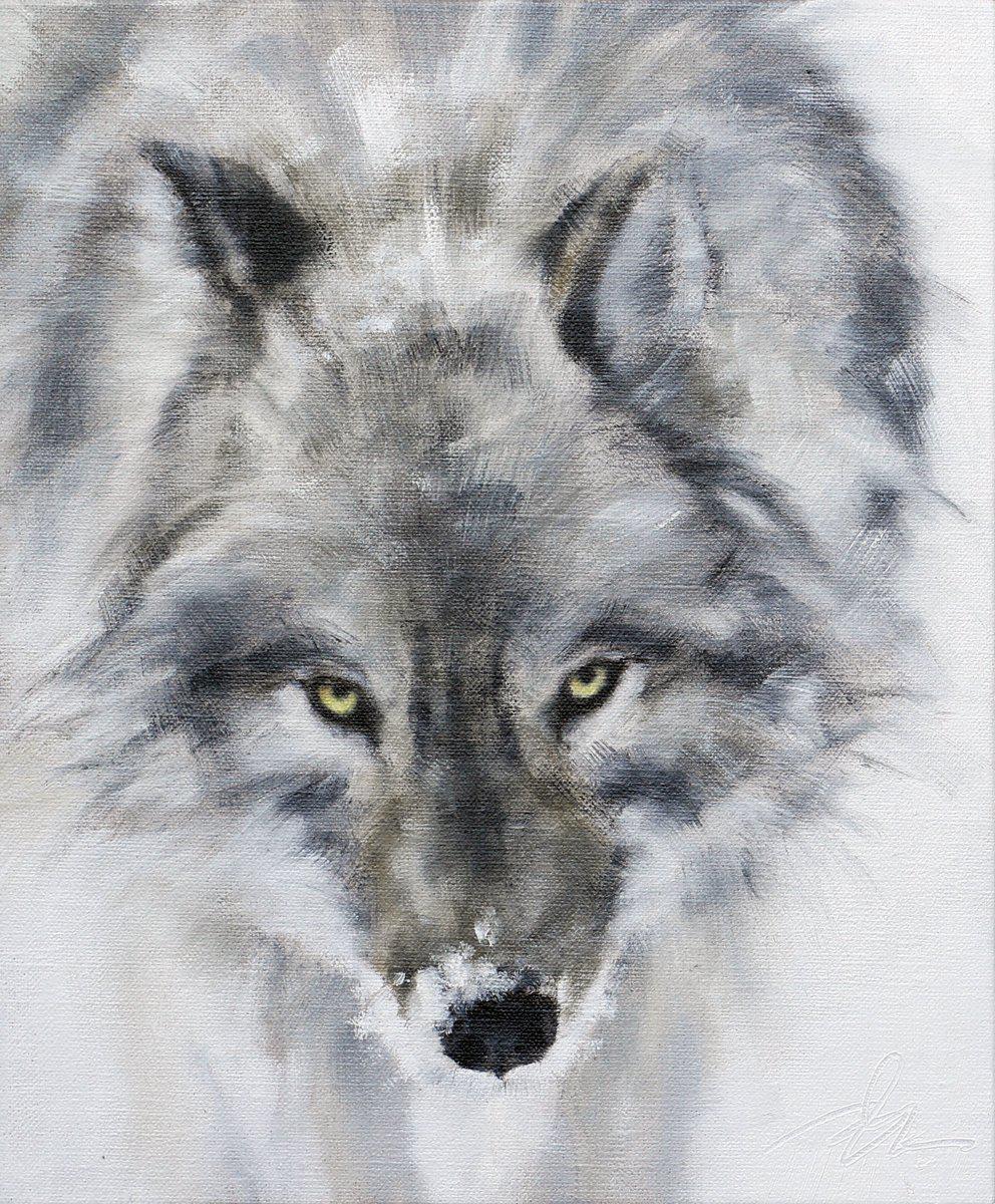 Wolf Study Light-Painting-Doyle Hostetler-Sorrel Sky Gallery