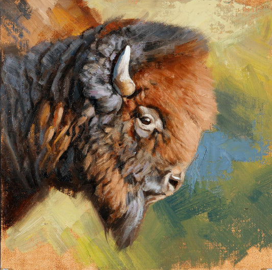 Bison Study-Painting-Edward Aldrich-Sorrel Sky Gallery