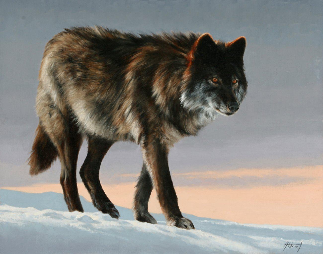 Black Wolf-Painting-Edward Aldrich-Sorrel Sky Gallery