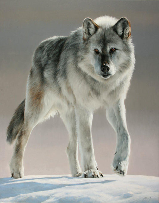 Untitled Wolf II-Painting-Edward Aldrich-Sorrel Sky Gallery