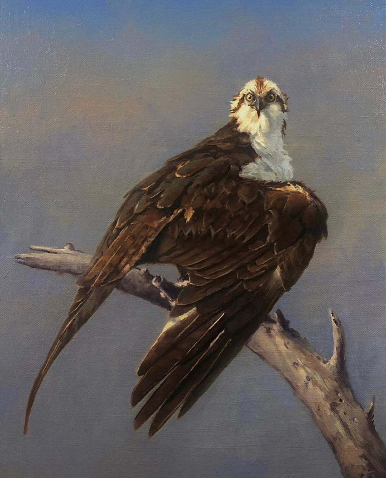 Osprey-Painting-Keith Huey-Sorrel Sky Gallery