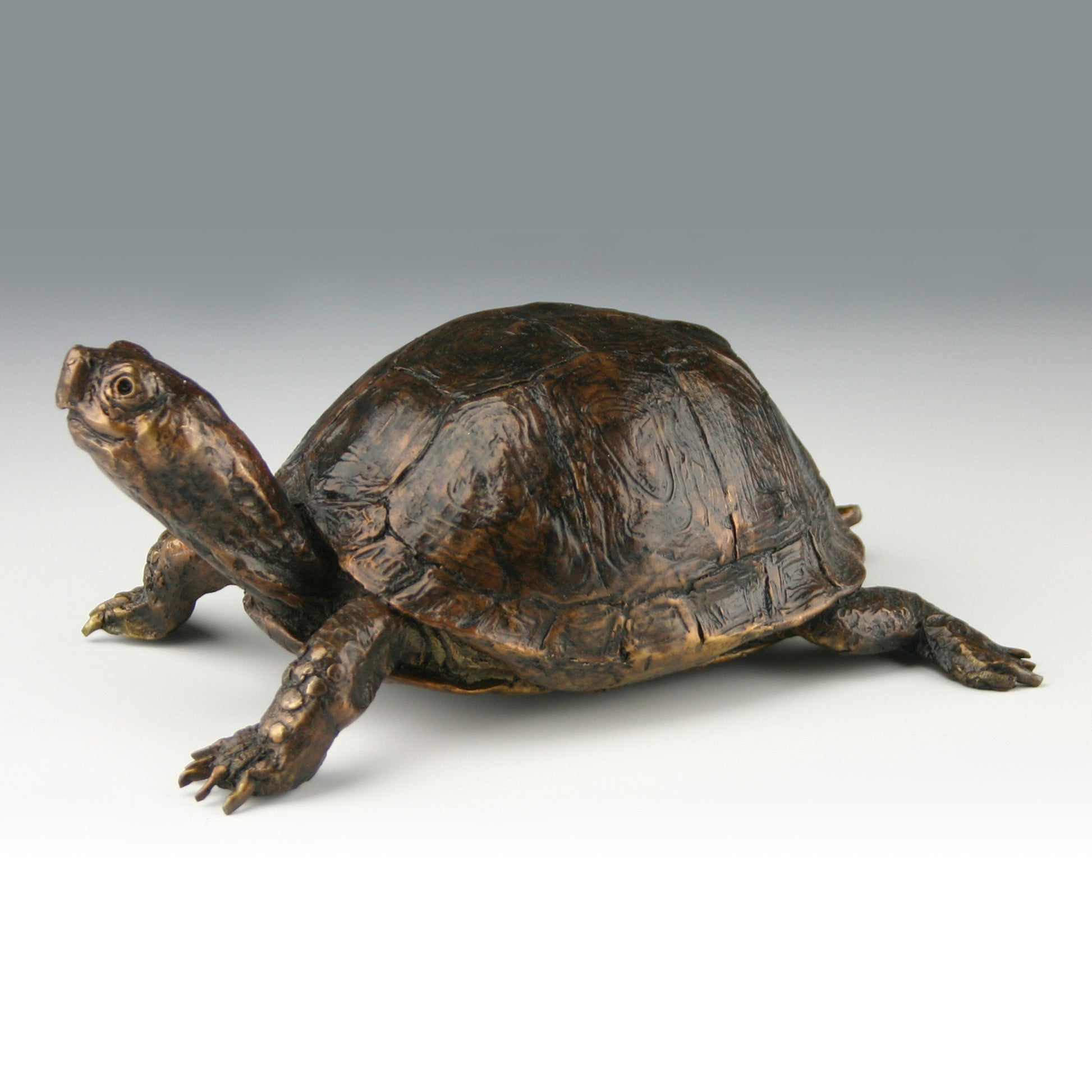 Eastern Box Turtle-Sculpture-Mark Dziewior-Sorrel Sky Gallery