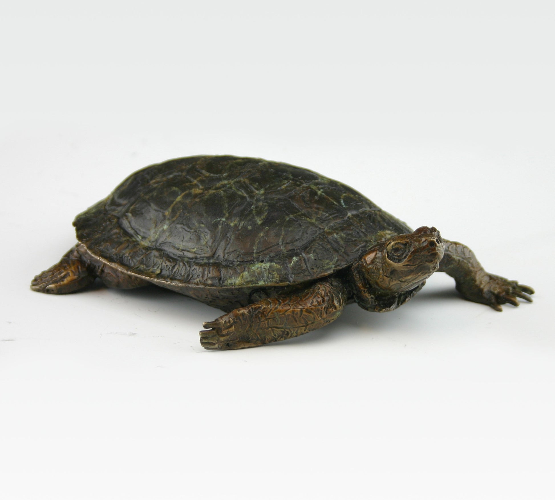 Painted Turtle-Sculpture-Mark Dziewior-Sorrel Sky Gallery