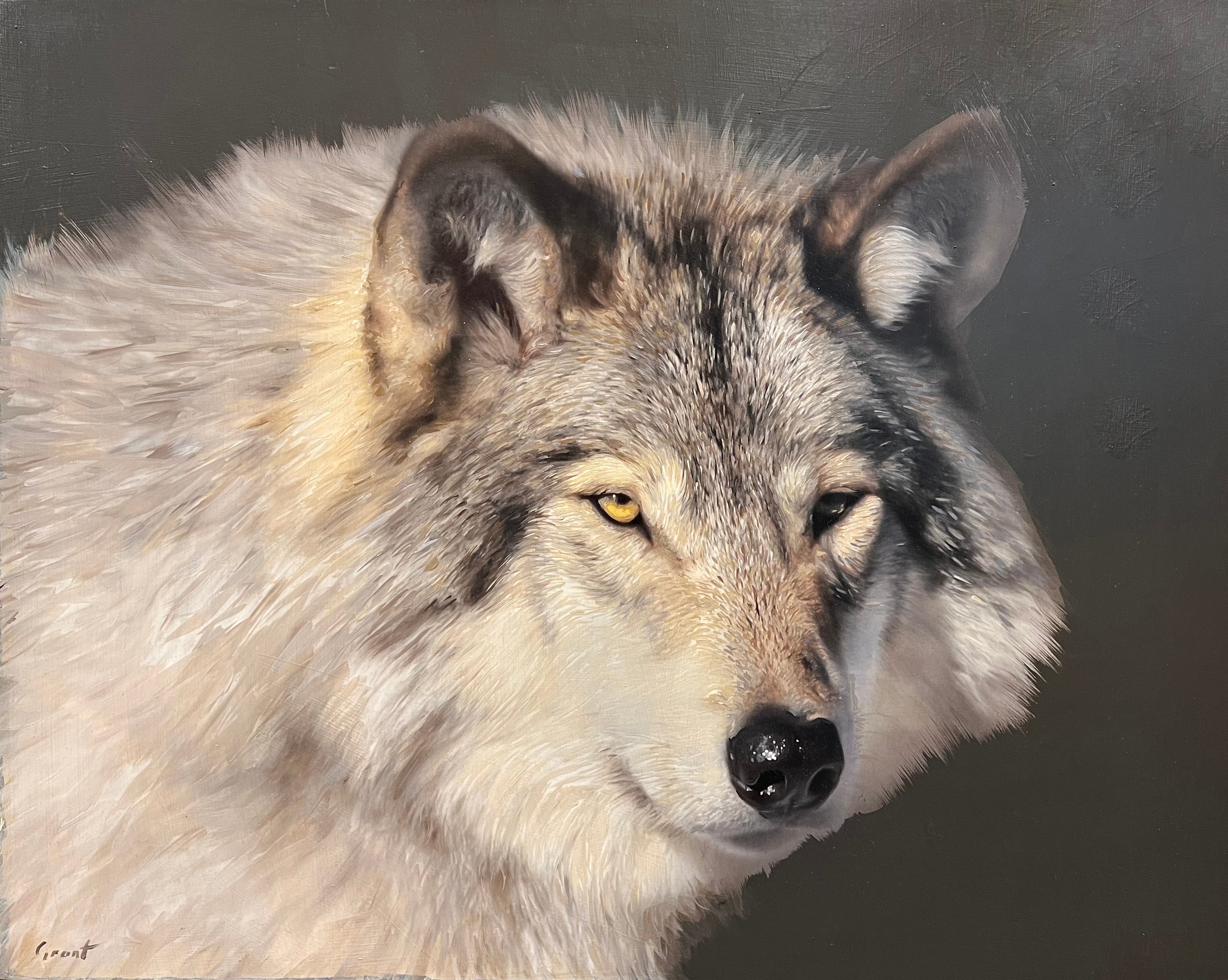 Grey Wolf Painting