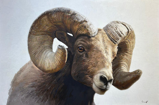 Ram-Painting-Matthew Grant-Sorrel Sky Gallery