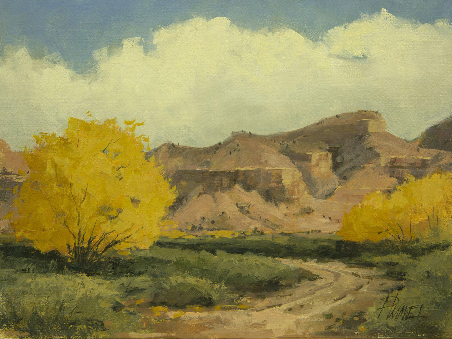 Tierra Rosada-Painting-Peggy Immel-Sorrel Sky Gallery