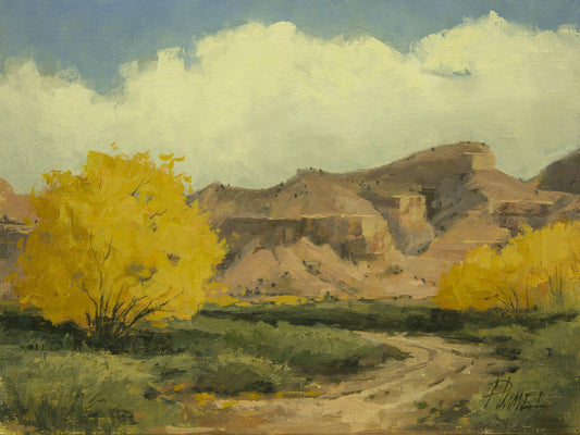 Tierra Rosada-Painting-Peggy Immel-Sorrel Sky Gallery