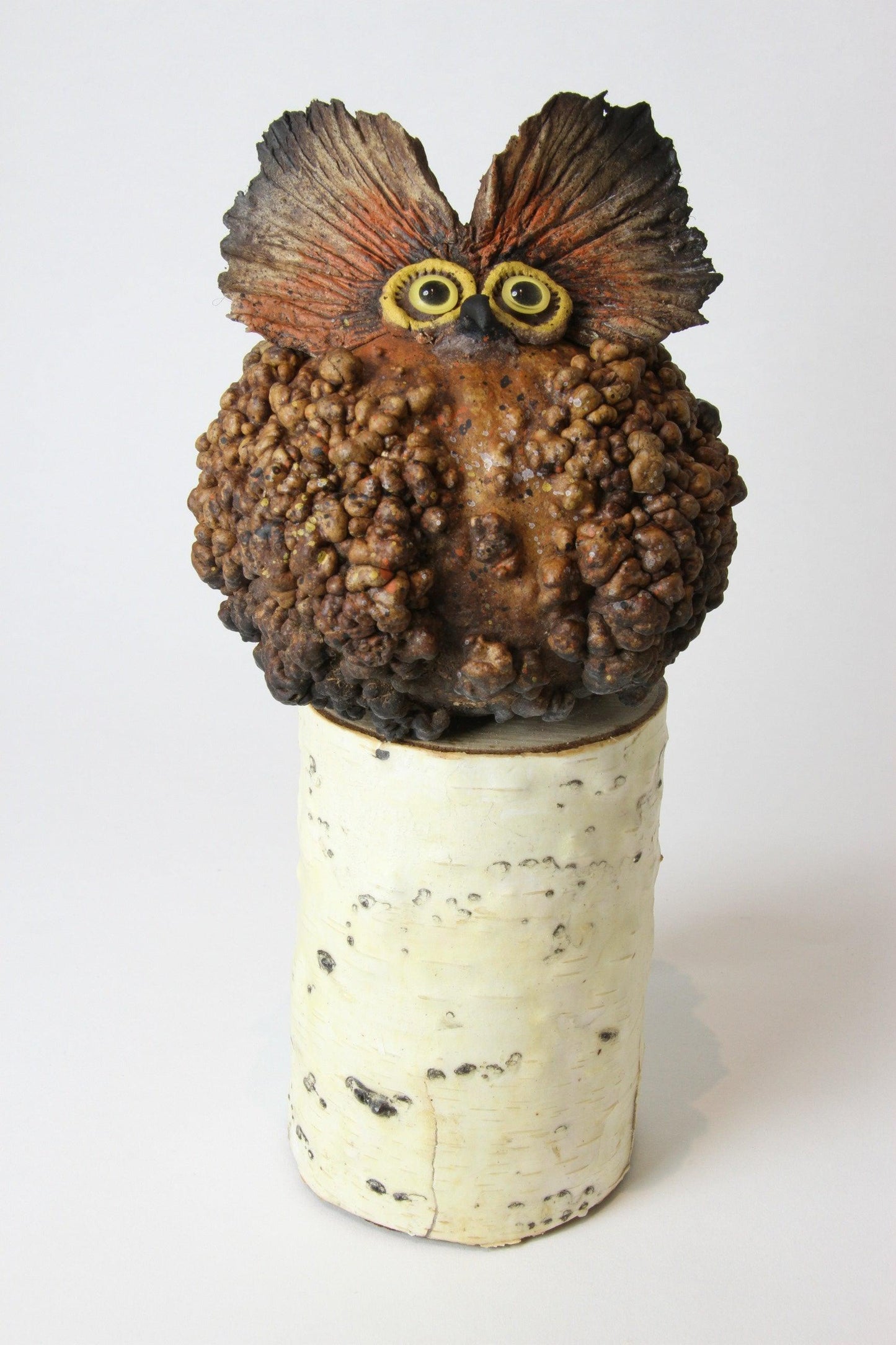 Warty Gourd Owl on Birch Log-Robert Rivera-Sorrel Sky Gallery