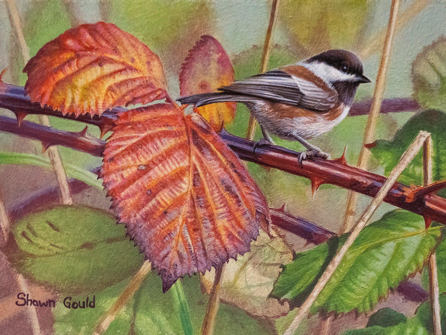 Chestnut-backed Chickadee-Painting-Shawn Gould-Sorrel Sky Gallery