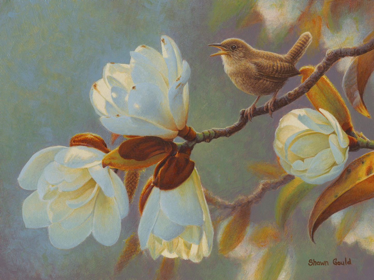House Wren and Magnolia-Painting-Shawn Gould-Sorrel Sky Gallery