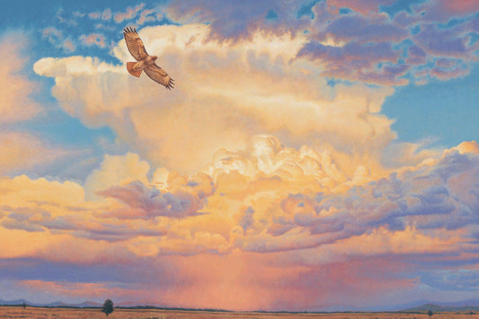 Soaring Above-Painting-Shawn Gould-Sorrel Sky Gallery