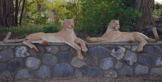 Catamount - Set of 2 Mountain Lions