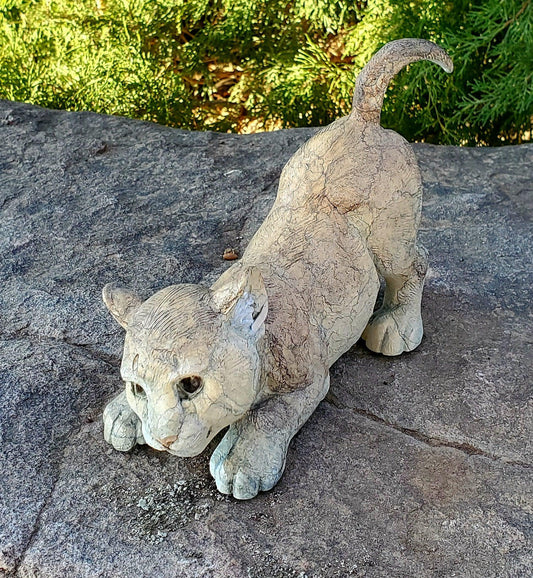 Pounce - Mountain Lion Cub