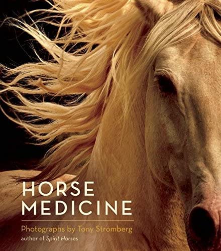 Horse Medicine By Tony Stromberg