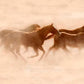 Misty-Photographic Print-Tony Stromberg-Sorrel Sky Gallery