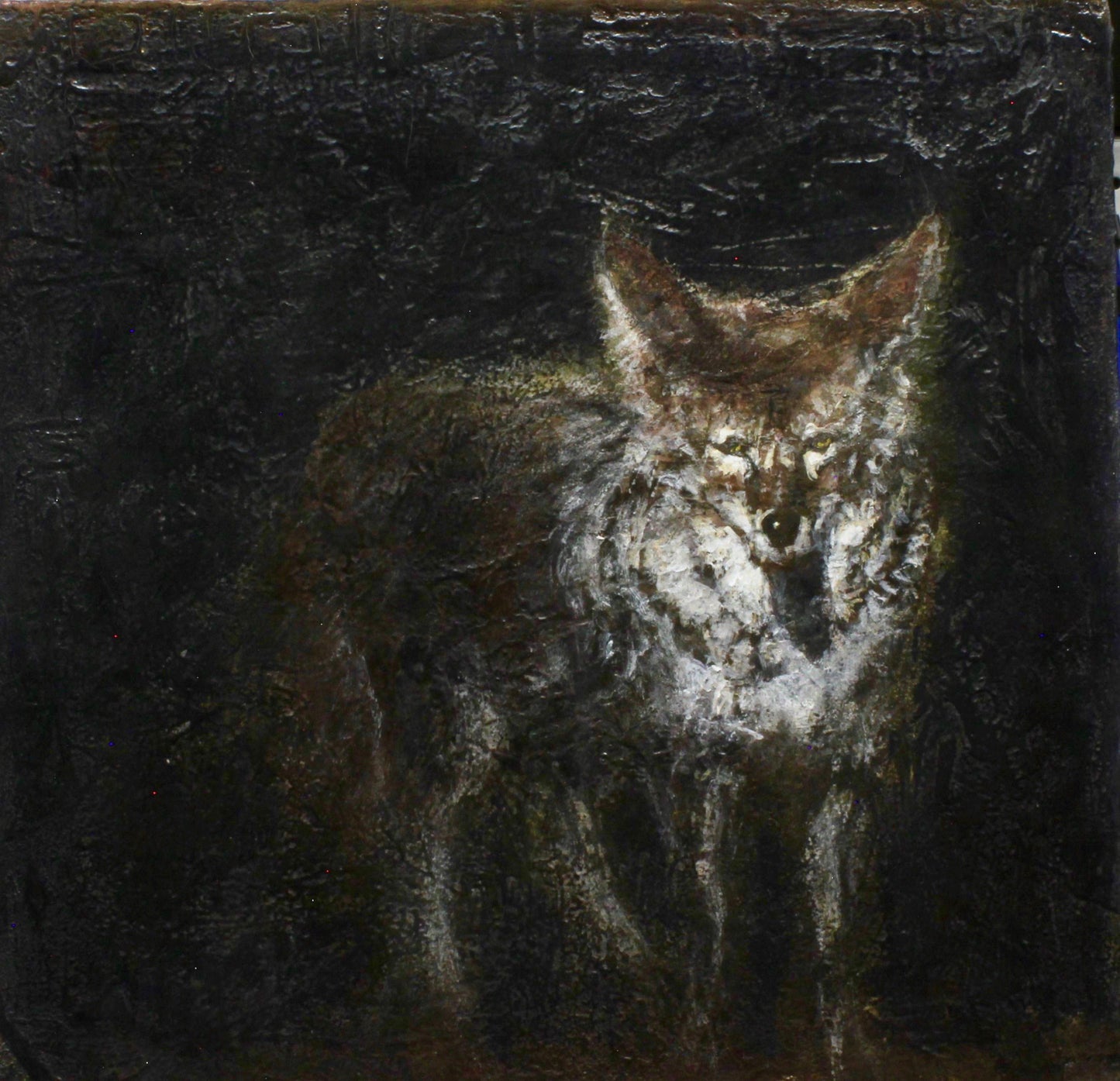 Aline Randle-Sorrel Sky Gallery-Painting-Coyote
