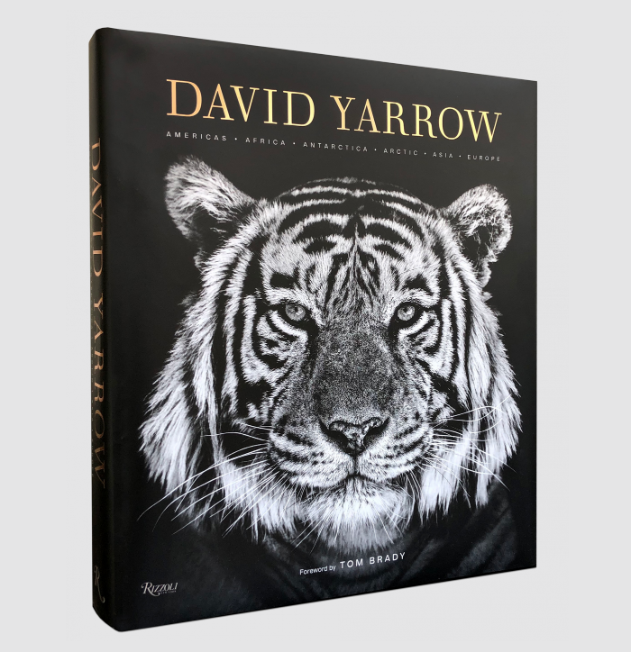 DAVID YARROW BOOK-Book-Books-Sorrel Sky Gallery